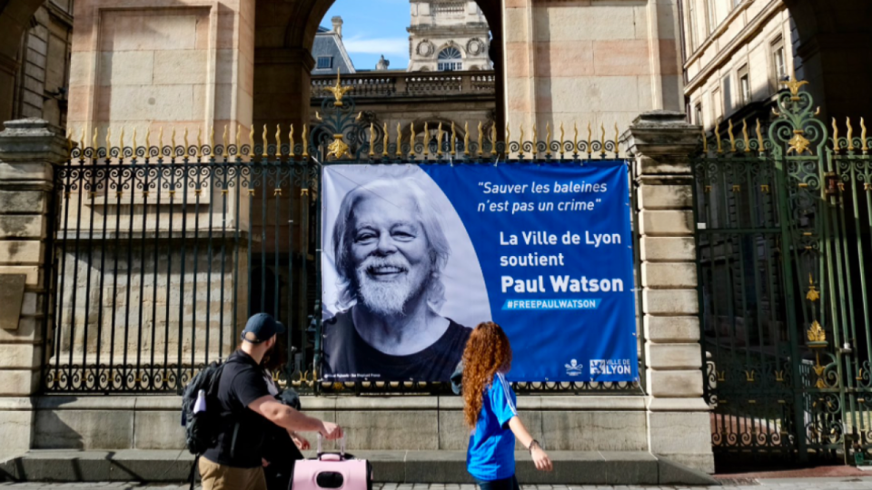 Lyon : Grégory Doucet affiche son soutien à Paul Watson