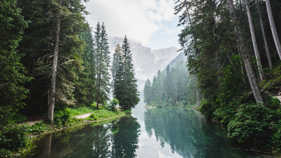 Loto de la biodiversité : deux projets retenus en Auvergne-Rhône-Alpes