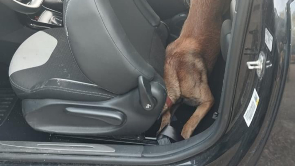 Près de Lyon : les gendarmes découvrent une cache contenant 300g de stupéfiants dans sa voiture