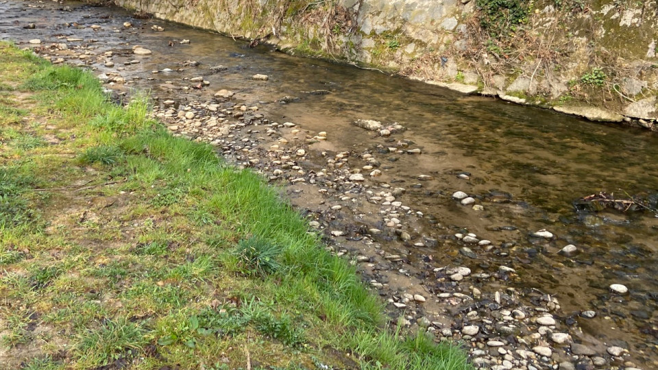 Près de Lyon : une pollution au fioul dans un cours d'eau du Beaujolais