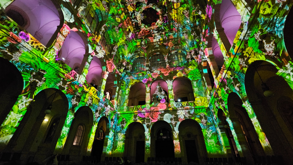 Lyon : les origines du monde au cœur d'un spectacle lumineux au Palais de la Bourse (PHOTOS)