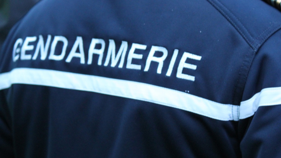 Bébé décédé à Chessy :  la nourrice mise en examen pour meurtre et placée en détention provisoire