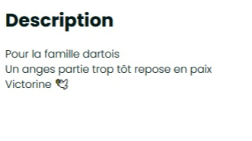 Fausse cagnotte en ligne : la famille de Victorine Dartois porte plainte