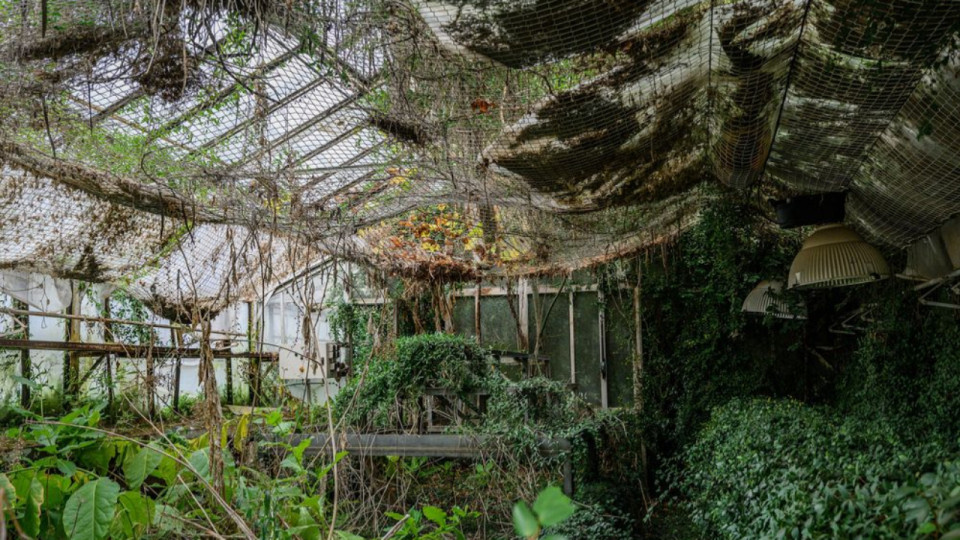 Rénovation des petites serres du Jardin botanique de Lyon : la collecte de dons officiellement lancée