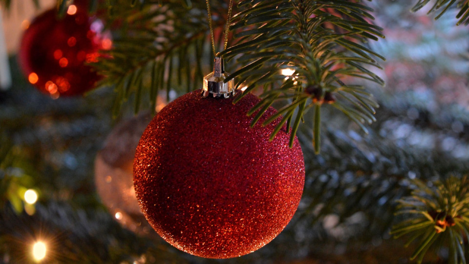 Sapins de Noël : attention au risque d’incendie !
