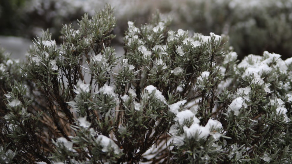 Neige et verglas : le Rhône en vigilance jaune ce vendredi matin