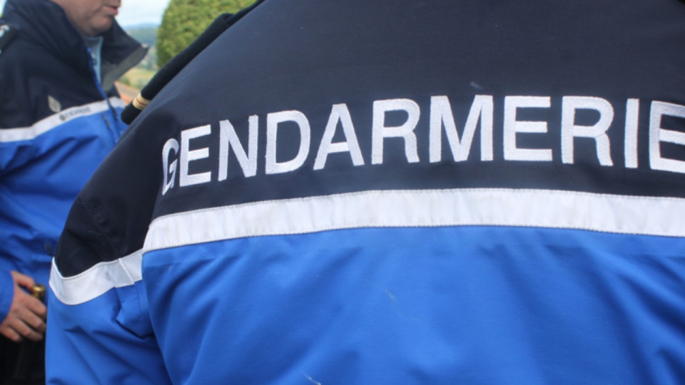 Vénissieux : arrestation d'une mère soupçonnée d’avoir enlevé ses filles placées