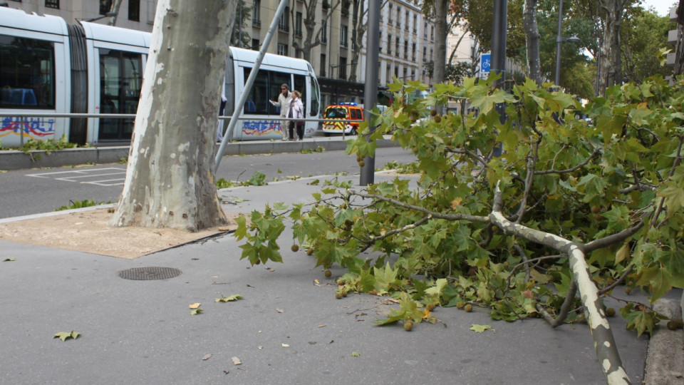 Des rafales de vent à plus de 110km/h : Lyon et le Rhône en vigilance orange