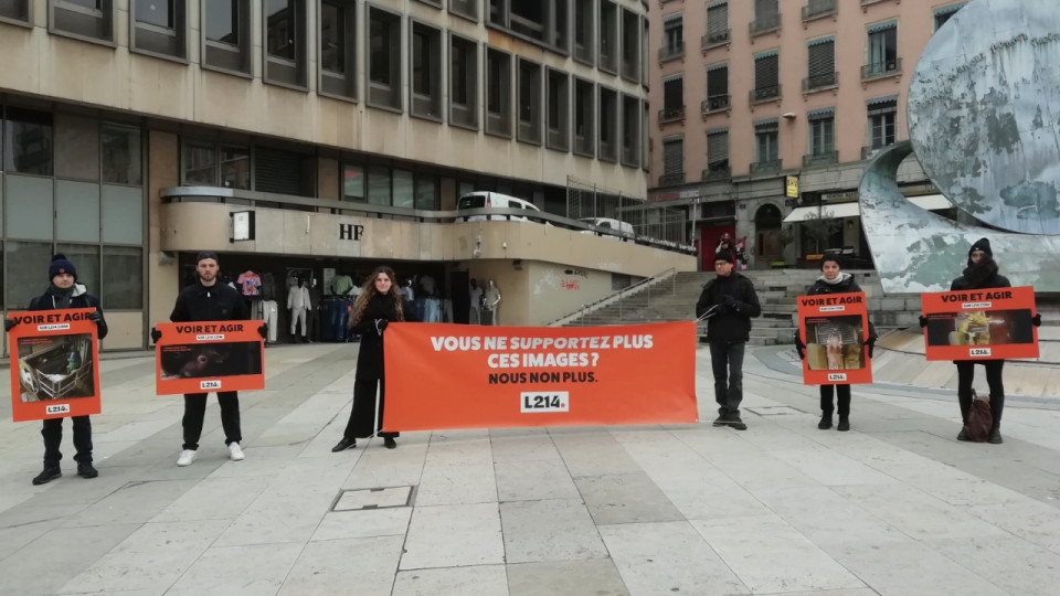 Abattoir Rhône Ouest : "Suspendre la chaîne porcine ne résout pas tout", L214 devant la préfecture ce vendredi