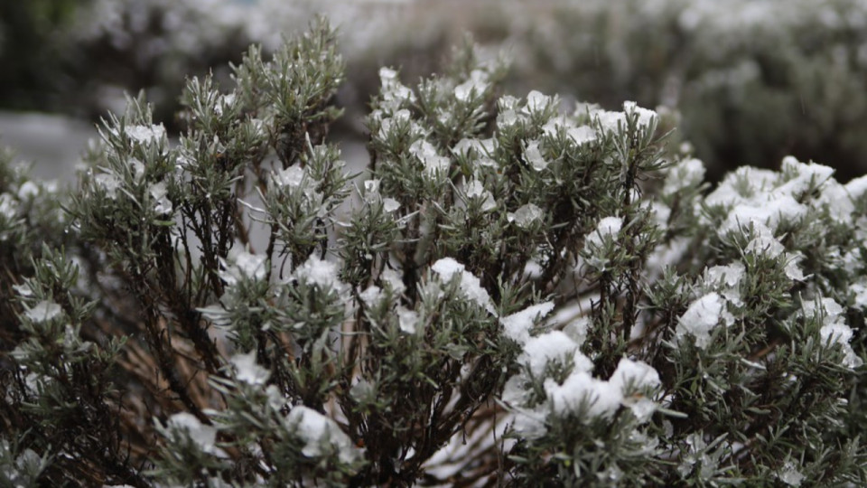 Le retour de la neige en Auvergne-Rhône-Alpes, des flocons attendus samedi dans le Rhône