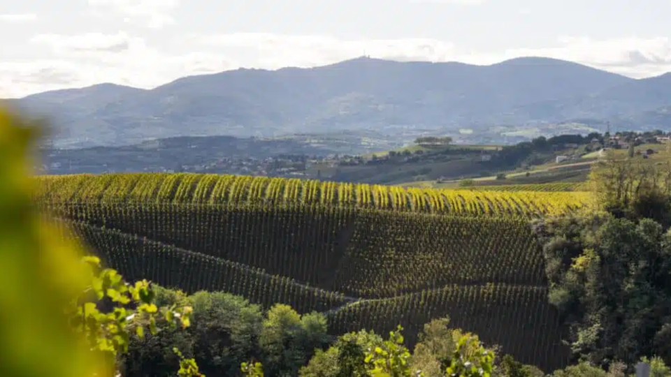 Vienne Condrieu Tourisme : le Pavillon du tourisme fête ses 10 ans, de nombreuses nouveautés arrivent
