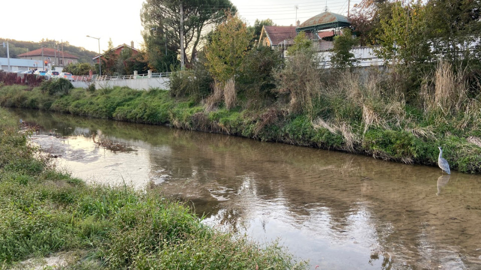 Près de Lyon : un homme tente d’échapper à la police et manque de se noyer