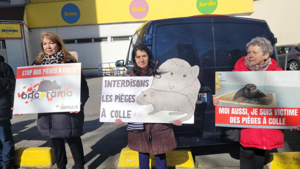 Près de Lyon : une action de sensibilisation pour arrêter la vente des pièges à colle