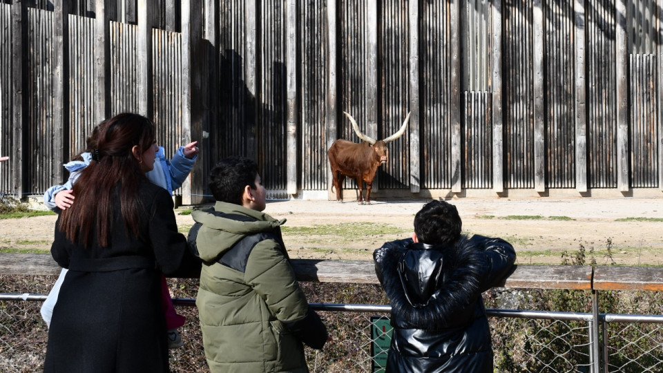 Une fermeture du zoo du parc de la Tête d’Or ? C’est oui pour une majorité de Lyonnais selon un sondage
