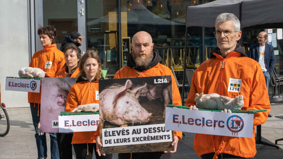 Un Leclerc lyonnais encore pris pour cible par l’association L214