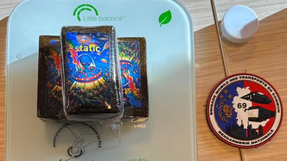 Opération coup de filet dans les gares du Rhône : les chiens ne se sont pas trompés