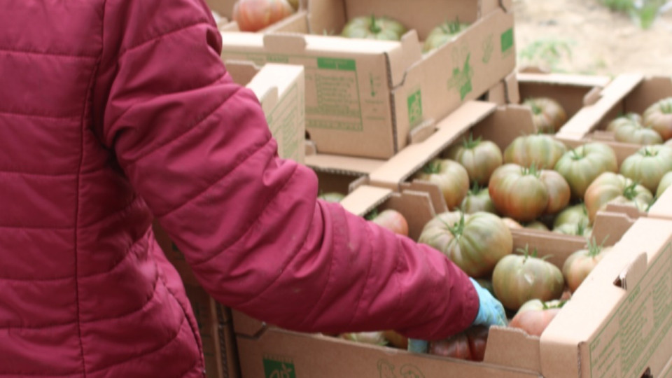 Arnaque aux faux maraîchers : la gendarmerie du Rhône met en garde contre cette escroquerie bien rodée