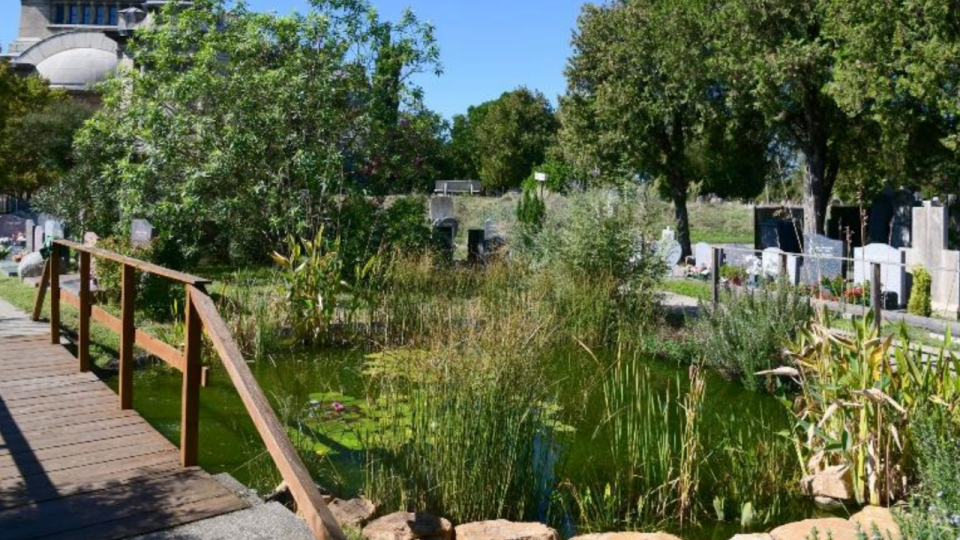 Le cimetière de la Guillotière bientôt plus vert : la Ville de Lyon investit près d’un million d’euros