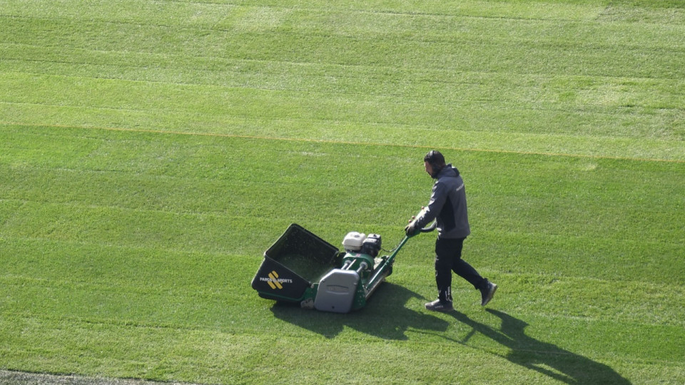 Un jardinier originaire de Villeurbanne renvoyé de l'Elysée après avoir dénoncé ses conditions de travail