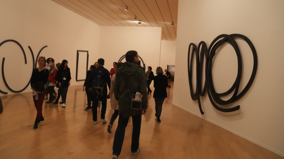 Vague de chaleur à Lyon : Nathalie Perrin-Gilbert demande la gratuité des musées municipaux