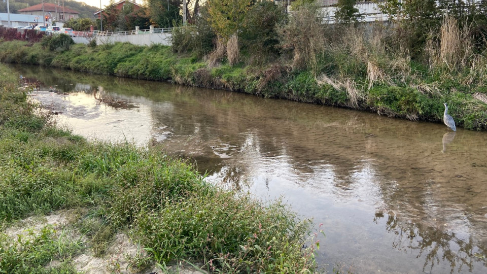 Contrat Eau & Climat 2025-2027 : 190 actions pour renforcer les ambitions dans la Métropole de Lyon