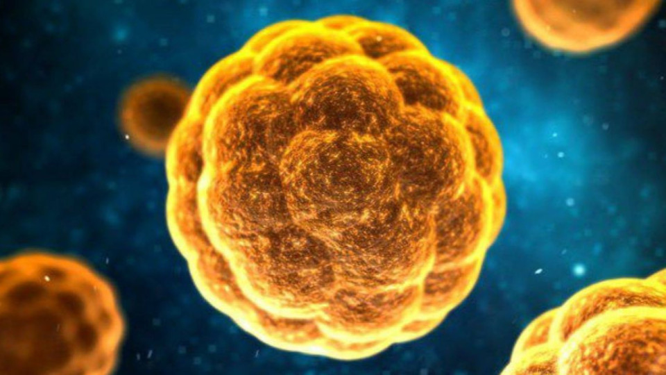 Lyon : une quarantaine de personnes infectées par le virus de l’hépatite A, l’ARS fait de la prévention