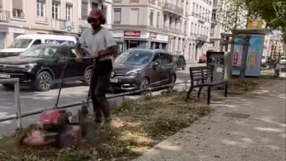 A Lyon, ce paysagiste entretient bénévolement la végétation à l'abandon : "Rendre la vie un peu meilleure autour de soi"