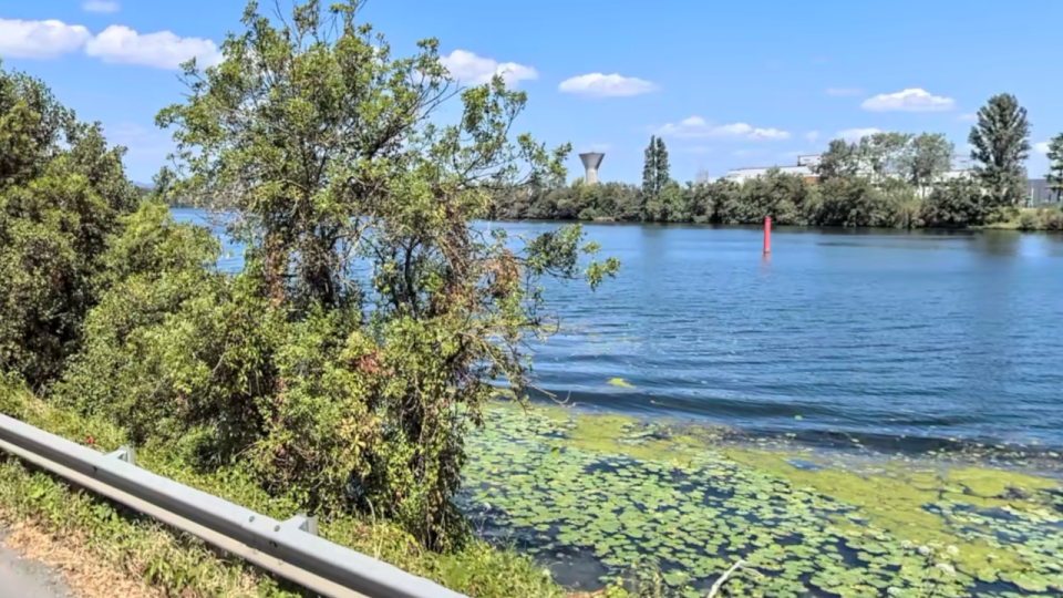 Saône : des tests pour une future zone de baignade près de Lyon dès 2027
