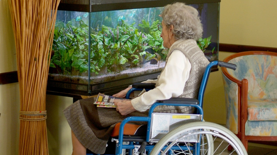 Lyon : ils se faisaient passer pour des plombiers pour voler des seniors, ils sont condamnés