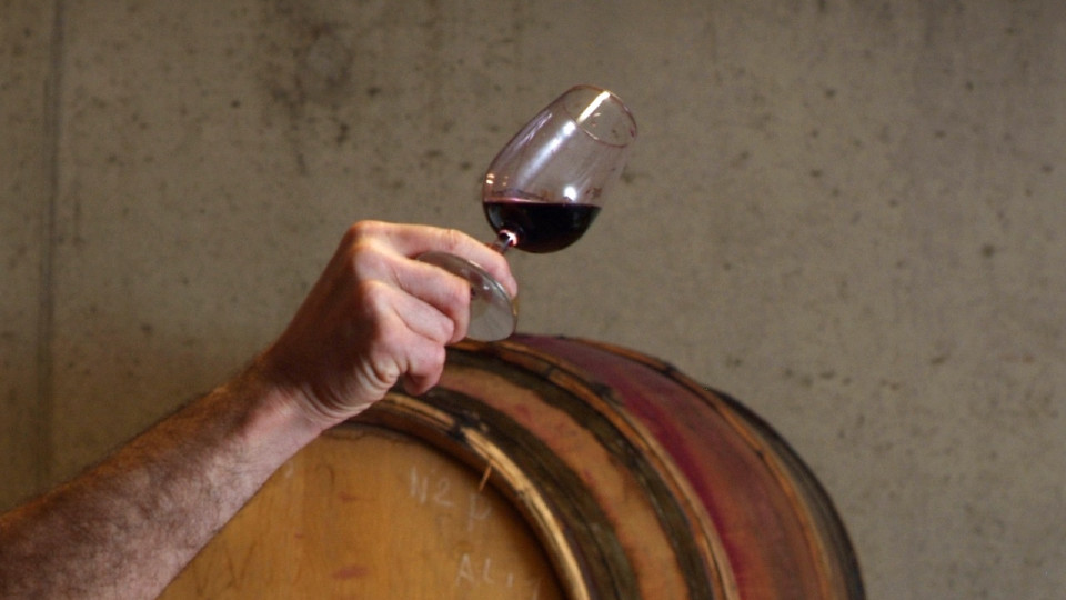 Près de Lyon : il se blesse en chutant dans une cuve à vin