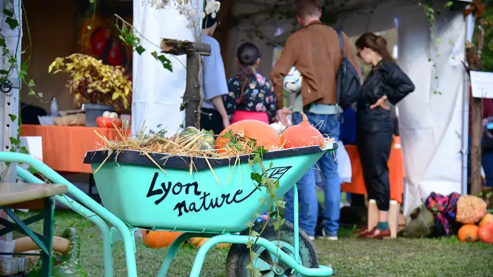 Lyon : c'est quoi ce festival des courges à la Tête d'Or ce week-end ?