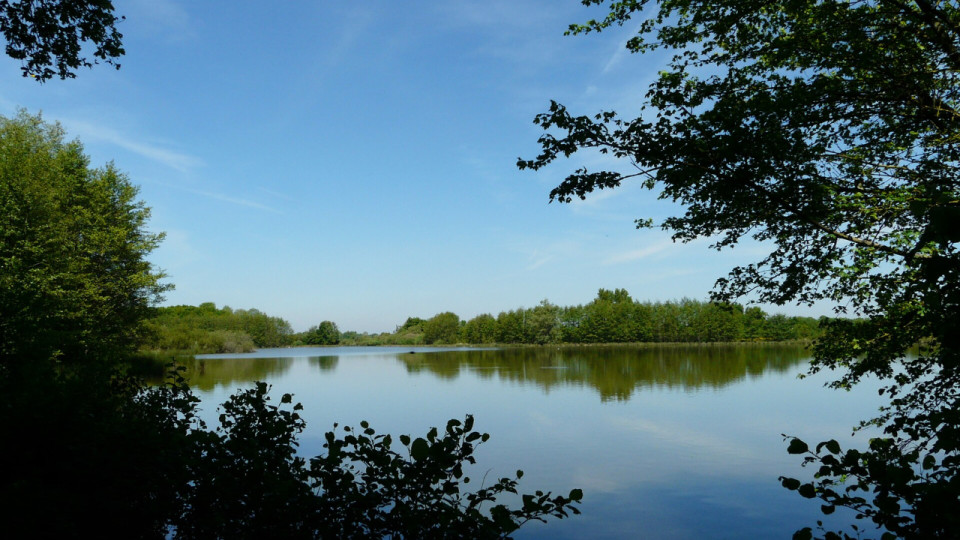 Bourg-en-Bresse accueille le 17e Séminaire national Ramsar sur la préservation des zones humides