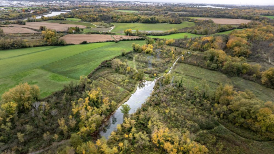 Jonage : un an apr&egrave;s sa remise en eau, la l&ocirc;ne confirme sa renaissance &eacute;cologique