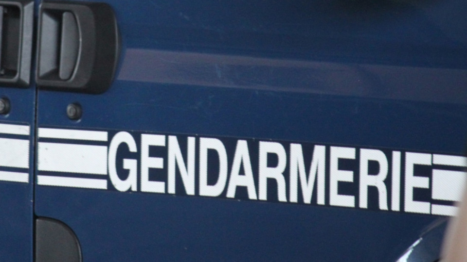 Près de Lyon : une fillette de 4 ans retrouvée morte, sa mère interpellée