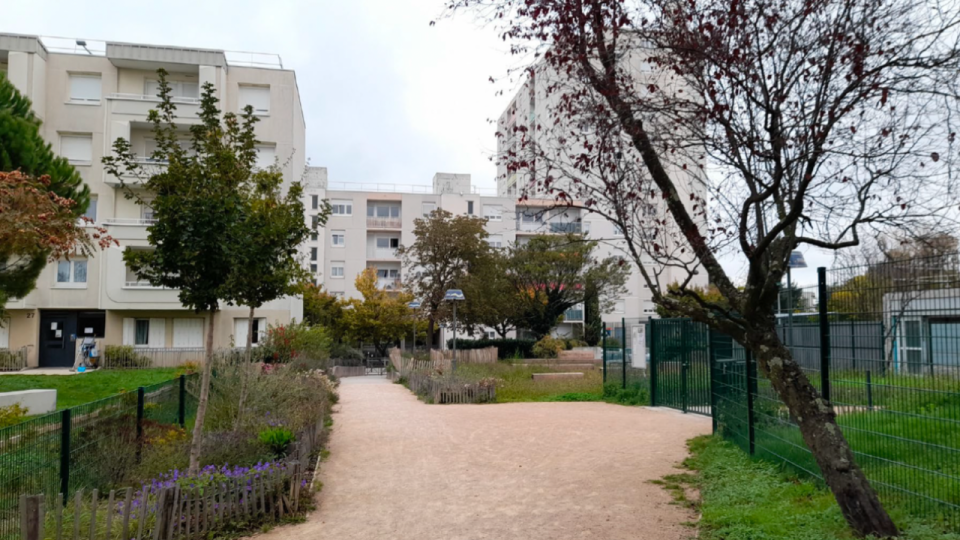 Lyon : le quartier S&oelig;ur Janin se transforme, l&rsquo;&eacute;cole Fran&ccedil;ois Truffaut bient&ocirc;t r&eacute;nov&eacute;e pour 2,27 millions d&rsquo;euros