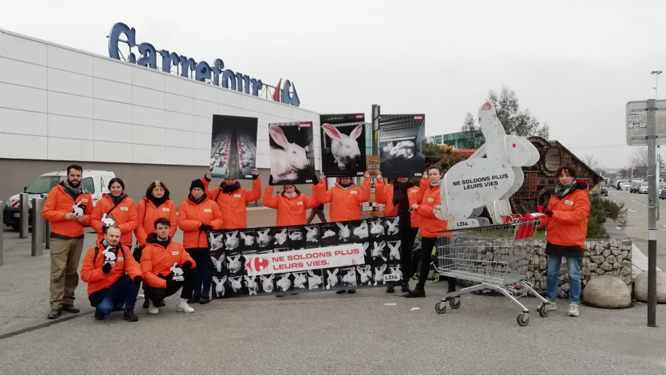 &Agrave; V&eacute;nissieux, L214 interpelle les clients de Carrefour sur les conditions d&rsquo;&eacute;levage des lapins