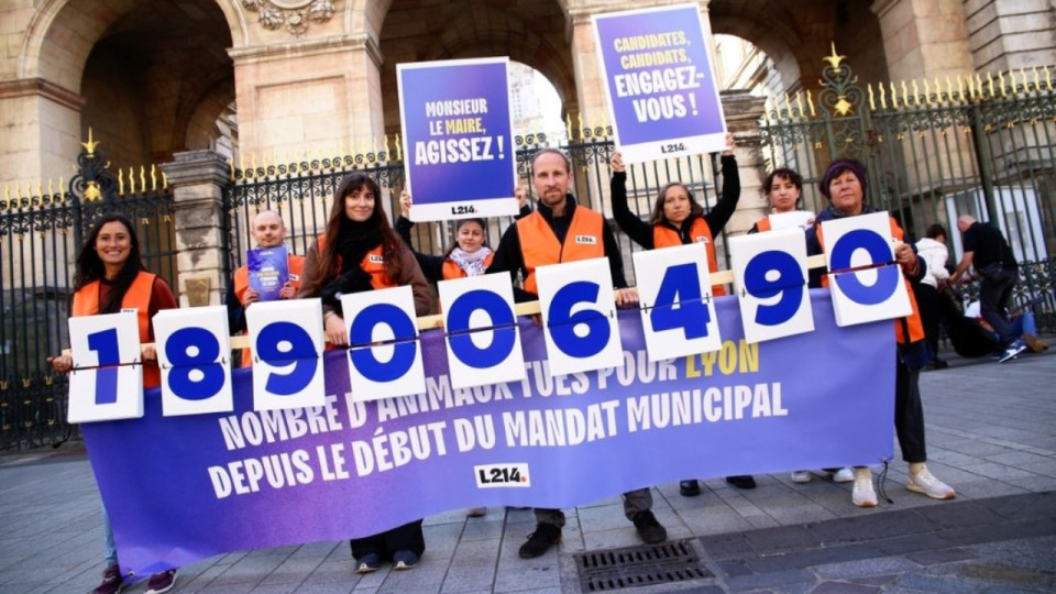 "70 animaux tu&eacute;s chaque minute" : L214 interpelle les candidats aux municipales &agrave; Lyon