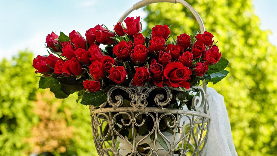 Pourquoi ce fleuriste de Lyon ne vend pas de roses rouges pour la Saint-Valentin