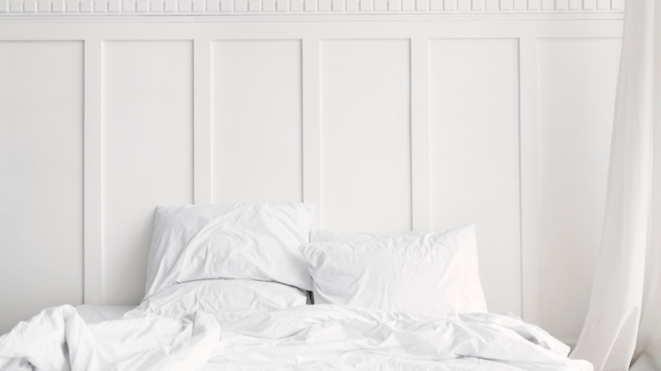 Punaises de lit : apr&egrave;s la psychose nationale, une r&eacute;ponse humaine et locale &agrave; Lyon