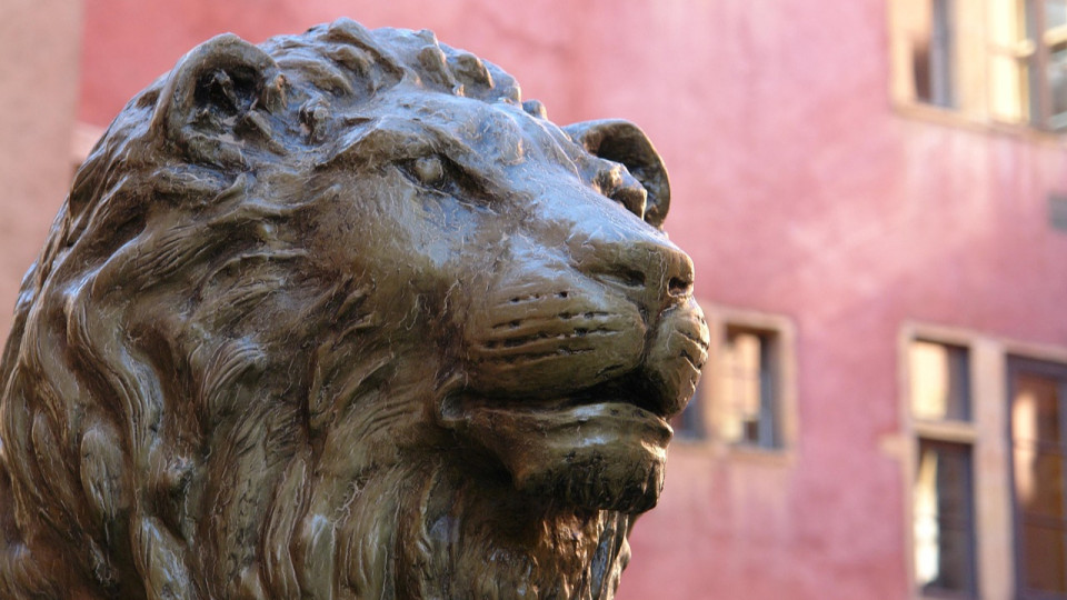 Passer son permis de conduire &agrave; Lyon : prix, d&eacute;lais et alternatives aux auto-&eacute;coles traditionnelles