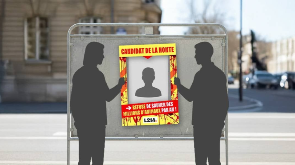 Municipales &agrave; Lyon : L214 cible les "candidats de la honte" sur les affiches &eacute;lectorales