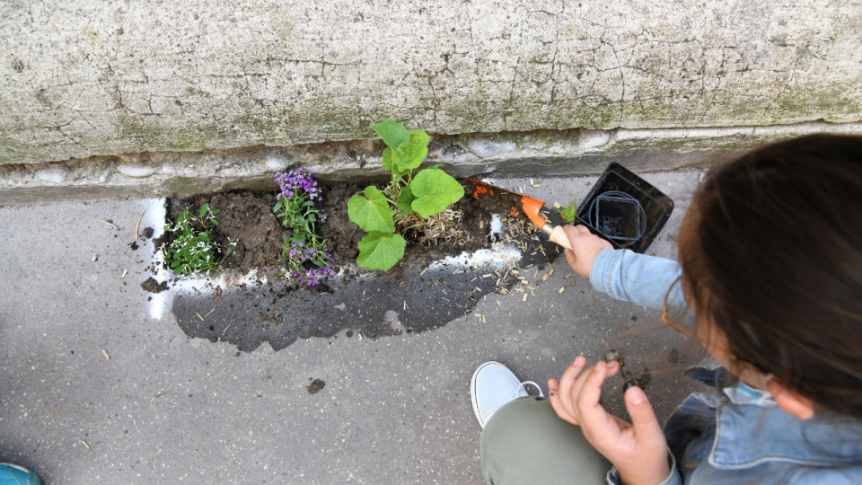 Jardins de rue, plantations : Lyon mise sur ses habitants