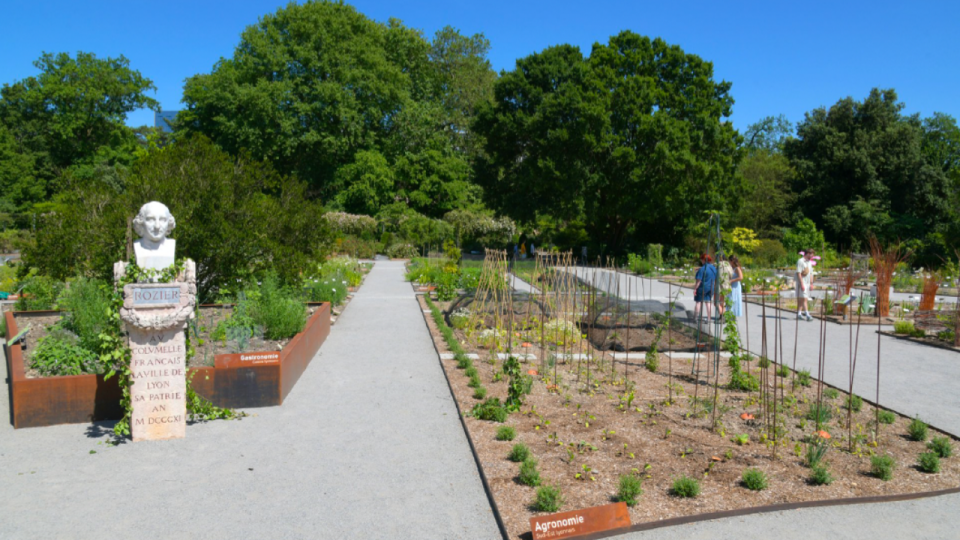 Parc de la T&ecirc;te d&rsquo;Or : l&rsquo;&Eacute;cole de Botanique rouvre apr&egrave;s une r&eacute;novation de 550 000 euros
