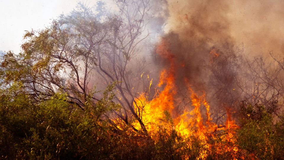 Avec cet "effet s&egrave;che-cheveux," le risque d'incendie grimpe fortement dans le Rh&ocirc;ne