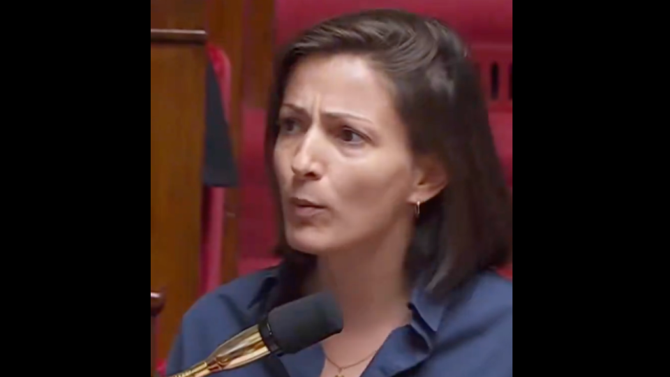 "Vous &ecirc;tes d&eacute;gueulasse !" : Marie-Charlotte Garin s&rsquo;emporte lors d&rsquo;un d&eacute;bat sur la perp&eacute;tuit&eacute; pour les p&eacute;docriminels