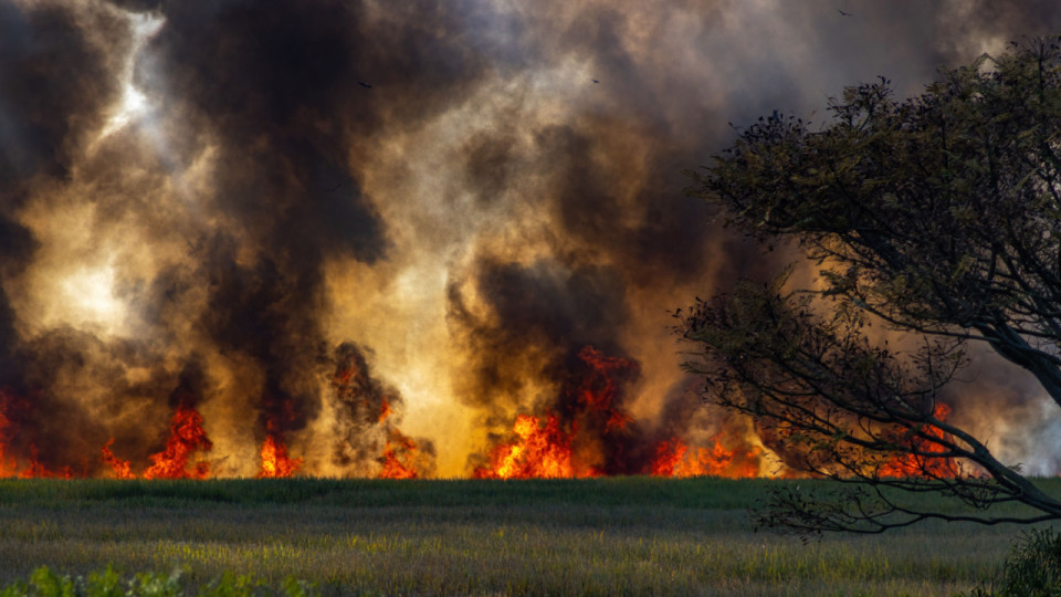 Face aux incendies hors de contr&ocirc;le en Gironde et dans le sud, les pompiers du Rh&ocirc;ne et de la r&eacute;gion mobilis&eacute;s en nombre