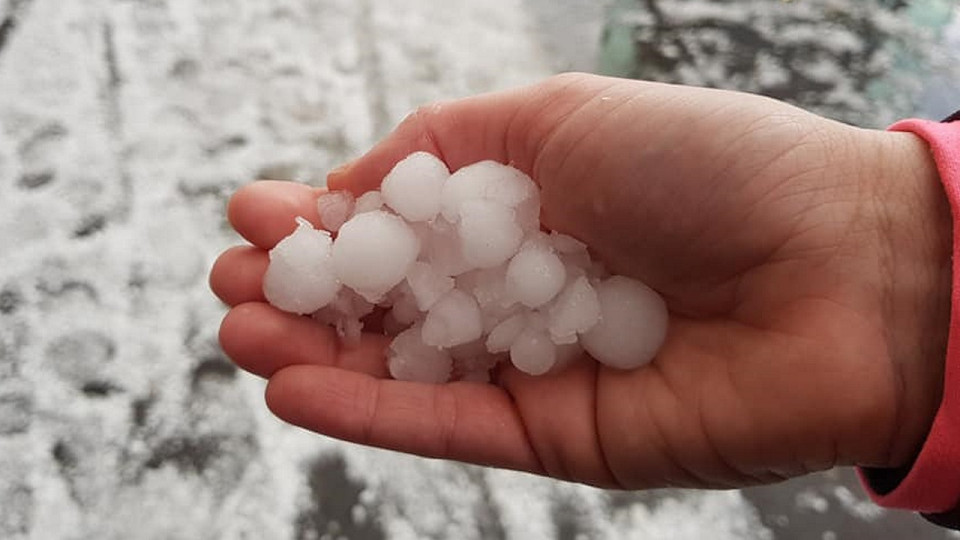 Orages &agrave; Villeurbanne : les parcs et jardins ferment en urgence ce dimanche