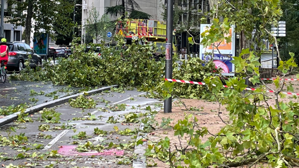 Gros orage &agrave; Lyon : une quarantaine d'interventions de pompiers, des chutes d'arbre impressionnantes