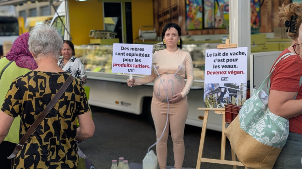Enceinte de huit mois et demi, une militante d&eacute;nonce l&rsquo;industrie laiti&egrave;re &agrave; la Croix-Rousse