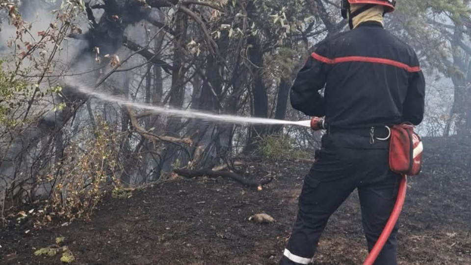 Beaujolais : 120 pompiers mobilis&eacute;s contre un important incendie &agrave; Saint-Cl&eacute;ment-sur-Valsonne